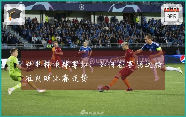 世界杯滚球需知：如何在赛场边精准判断比赛走势