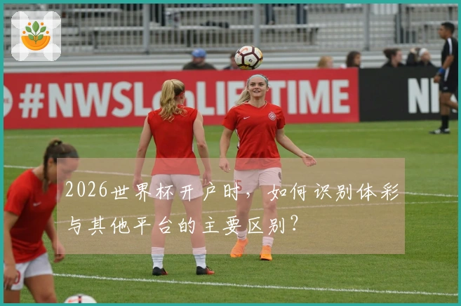 2026世界杯开户时，如何识别体彩与其他平台的主要区别？
