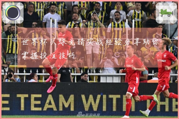 世界杯买球竞猜实战经验分享助你掌握投注技巧
