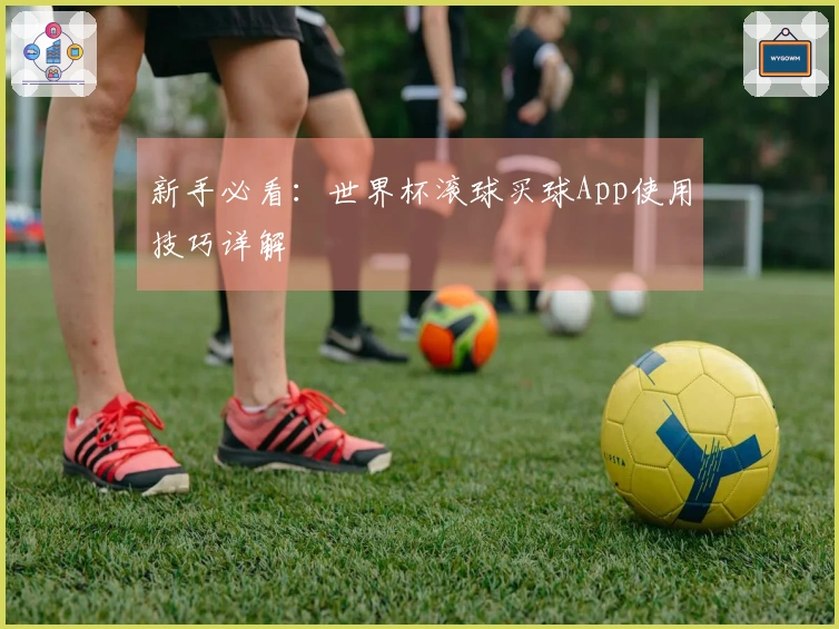 新手必看：世界杯滚球买球App使用技巧详解
