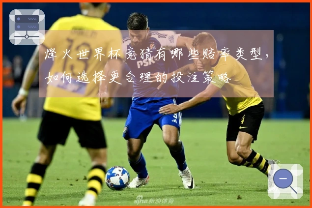 烽火世界杯竞猜有哪些赔率类型，如何选择更合理的投注策略