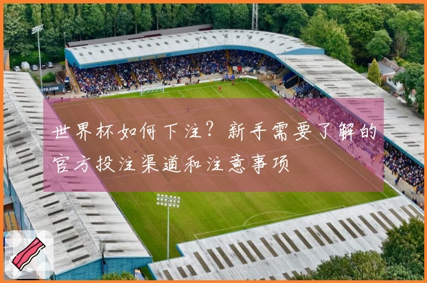 世界杯如何下注？新手需要了解的官方投注渠道和注意事项