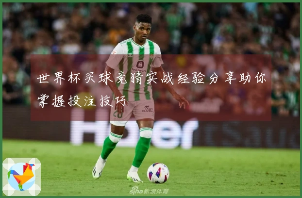 世界杯买球竞猜实战经验分享助你掌握投注技巧